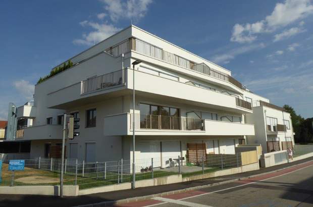 Terrassenwohnung mieten in 2700 Wr. Neustadt (Bild 1)