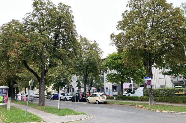 Wohnung mieten in 9500 Villach (Bild 1)