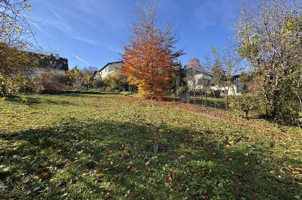 Grundstück kaufen in 3400 Klosterneuburg (Bild 1)