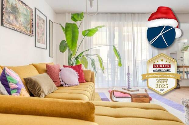 Terrassenwohnung kaufen in 3500 Krems (Bild 2)