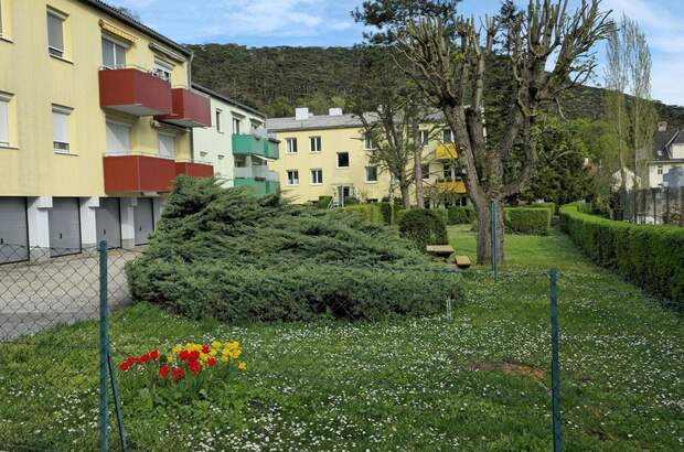 Terrassenwohnung kaufen in 2371 Hinterbrühl (Bild 1)