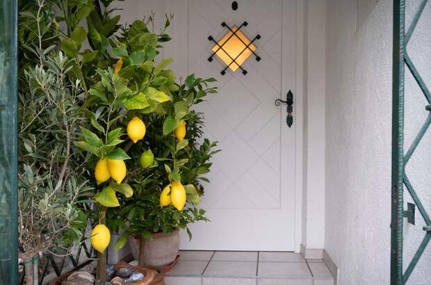 Haus mit Garten kaufen in 3400 Kierling (Bild 3)