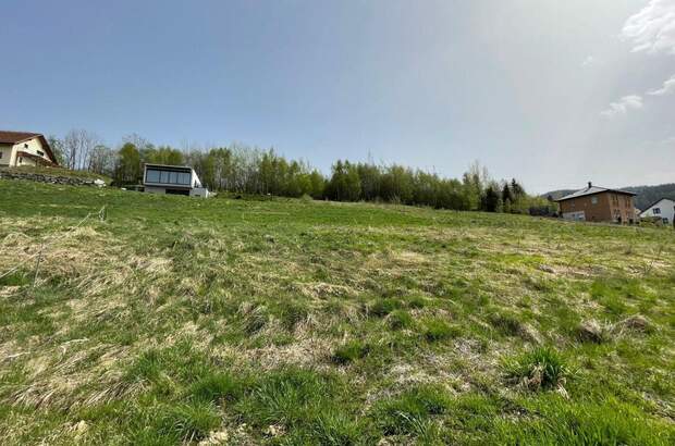 Grundstück kaufen in 8661 Sankt Barbara (Bild 2)