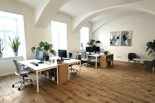 Gewerbeobjekt mieten in 1090 Wien (Bild 1)