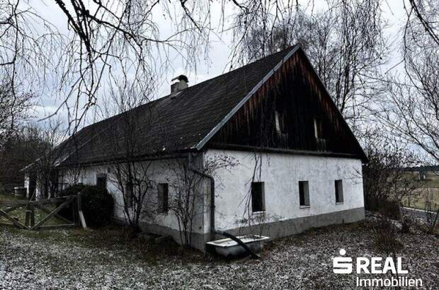 Haus kaufen in 4262 Dorf Leopoldschlag (Bild 2)
