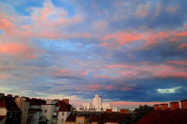 Wohnung kaufen in 1100 Wien (Bild 3)