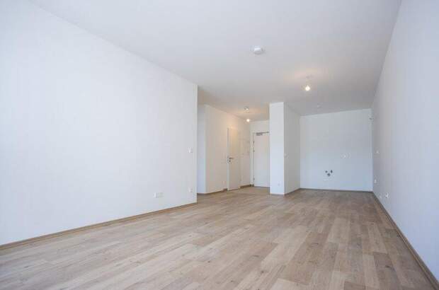 Terrassenwohnung kaufen in 2700 Wr. Neustadt (Bild 4)