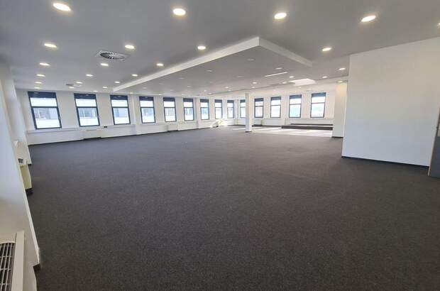 Gewerbeobjekt mieten in 1230 Wien (Bild 4)