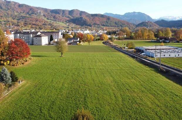 Grundstück kaufen in 4560 Kirchdorf (Bild 4)