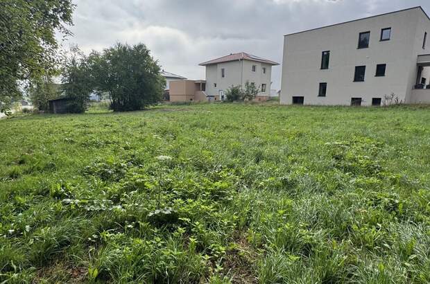 Grundstück kaufen in 4064 Kirchstetten (Bild 2)