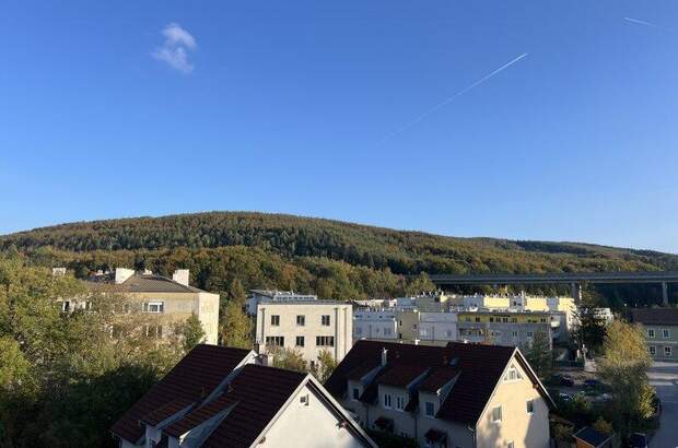 Terrassenwohnung kaufen in 3021 Pressbaum (Bild 1)