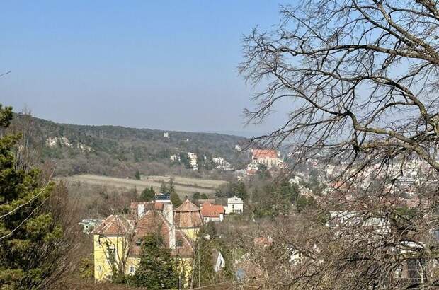 Grundstück kaufen in 2340 Mödling (Bild 4)