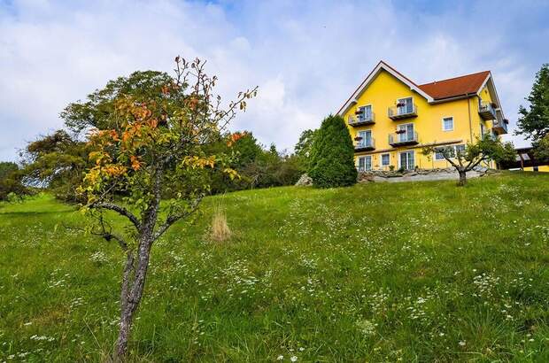 Gewerbeobjekt kaufen in 7574 Burgauberg (Bild 4)