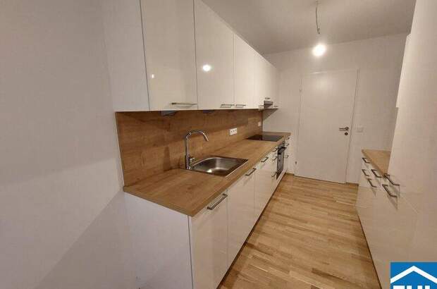 Terrassenwohnung mieten in 1200 Wien (Bild 3)