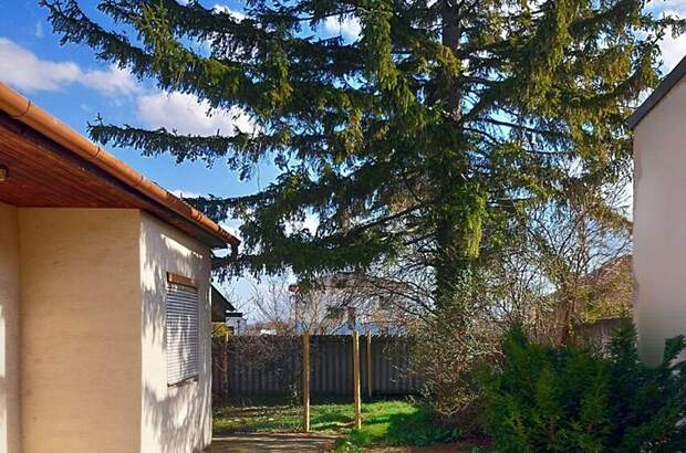 Haus mit Garten kaufen in 2182 Palterndorf (Bild 1)