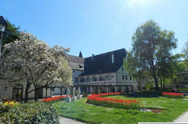 Gewerbeobjekt mieten in 4600 Wels (Bild 3)