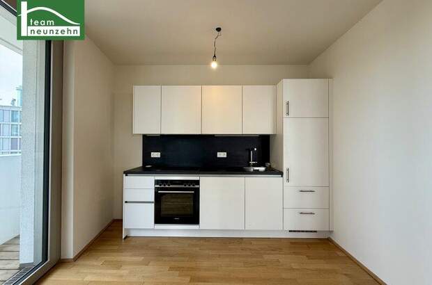 Terrassenwohnung mieten in 1100 Wien (Bild 2)