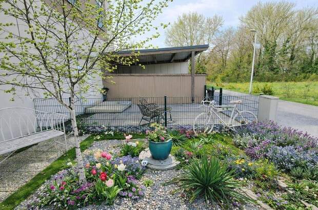 Haus mit Garten kaufen in 2485 Wimpassing (Bild 4)