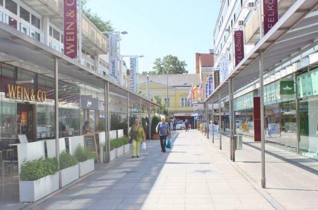 Gewerbeobjekt mieten in 1130 Wien (Bild 1)