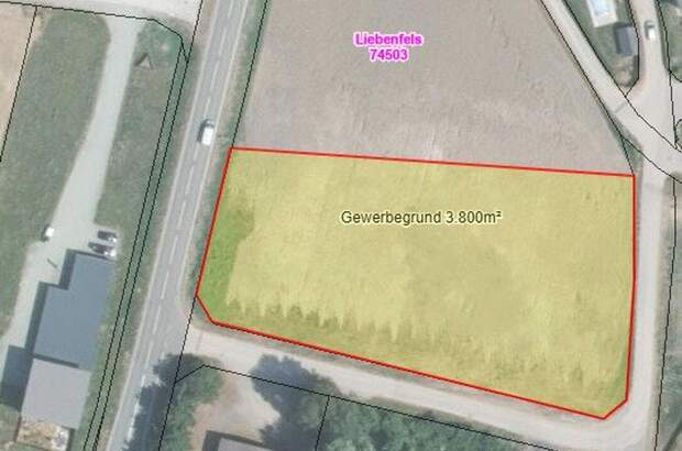 Gewerbeobjekt kaufen in 9556 Liebenfels