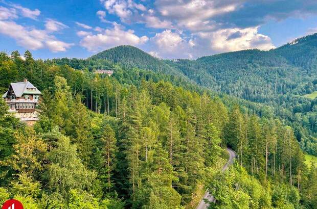 Terrassenwohnung kaufen in 2680 Semmering (Bild 1)