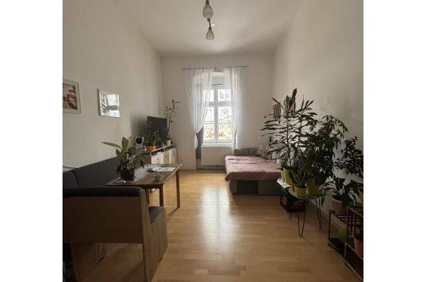 Wohnung mieten in 4600 Wels (Bild 5)