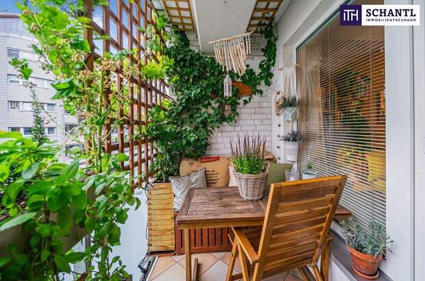 Terrassenwohnung kaufen in 1230 Wien (Bild 1)