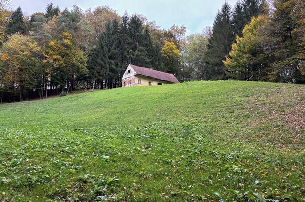 Gewerbeobjekt kaufen in 8461 Ehrenhausen (Bild 4)