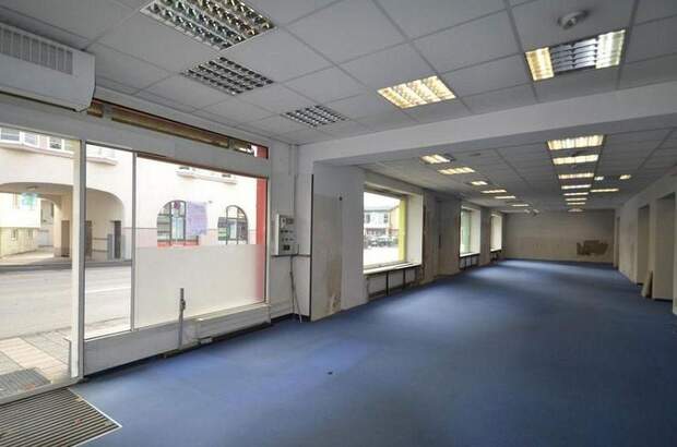 Gewerbeobjekt kaufen in 3250 Wieselburg (Bild 2)