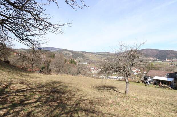 Grundstück kaufen in 8591 Maria Lankowitz (Bild 4)