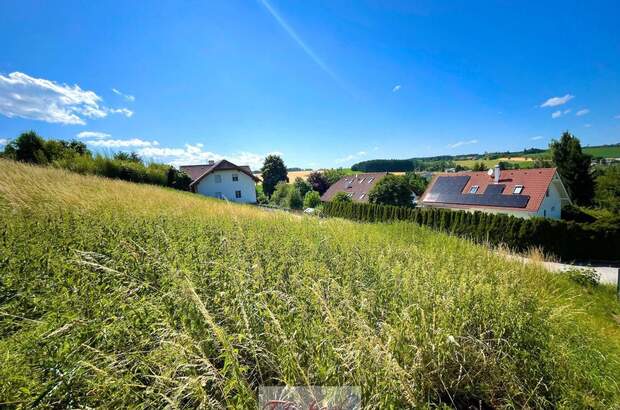 Grundstück kaufen in 4616 Weyerbach (Bild 5)