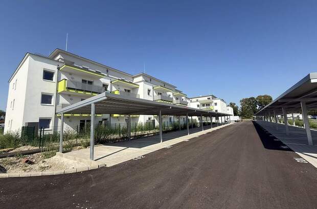 Terrassenwohnung kaufen in 2442 Unterwaltersdorf (Bild 4)