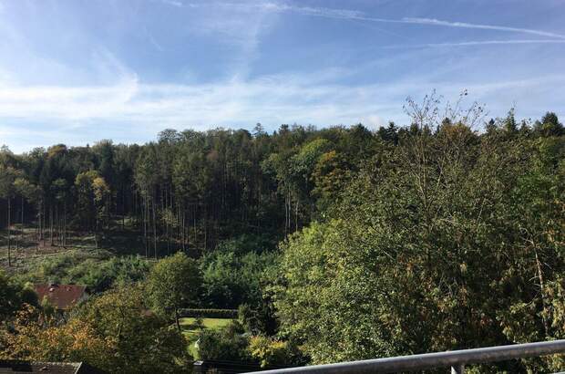 Wohnung mit Balkon kaufen in 4040 Linz (Bild 1)