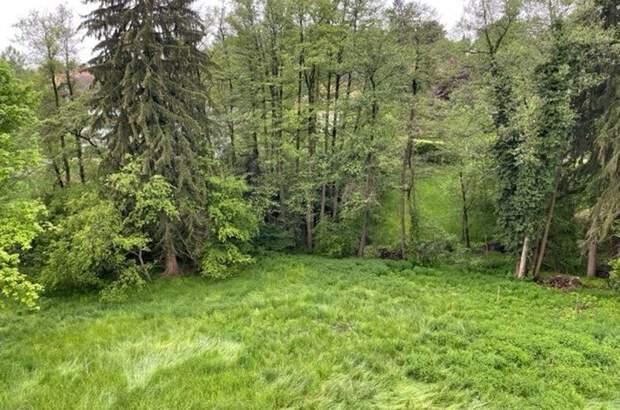 Grundstück kaufen in 8010 Graz (Bild 2)