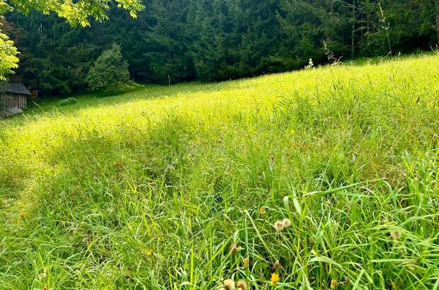 Grundstück kaufen in 8962 Gröbming (Bild 1)