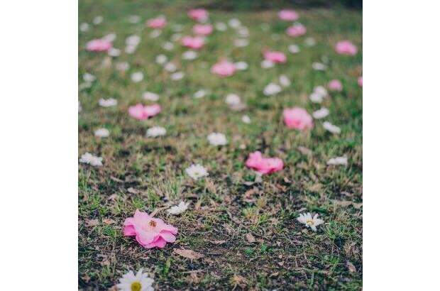 Grundstück kaufen in 8700 Leoben (Bild 5)