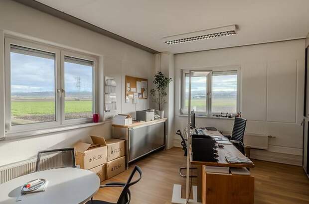 Gewerbeobjekt mieten in 3382 Loosdorf (Bild 2)