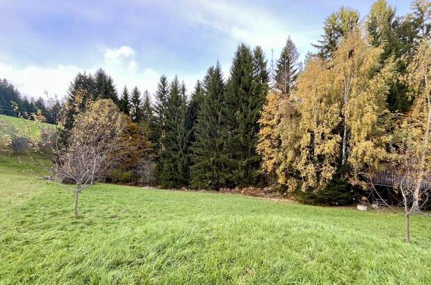 Grundstück kaufen in 8162 Passail (Bild 5)