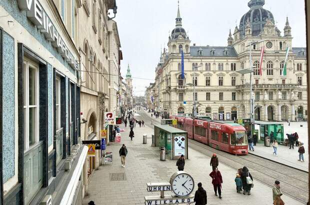 Gewerbeobjekt mieten in 8010 Graz (Bild 4)