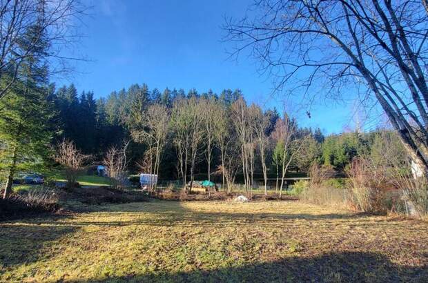 Grundstück kaufen in 4180 Saumstraß (Bild 3)