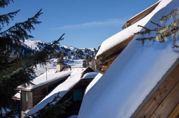 Haus kaufen in 9565 Reichenau (Bild 5)