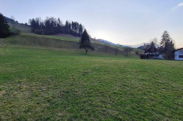 Grundstück kaufen in 4463 Großraming