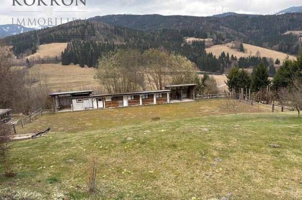 Haus kaufen in 8684 Spital (Bild 2)