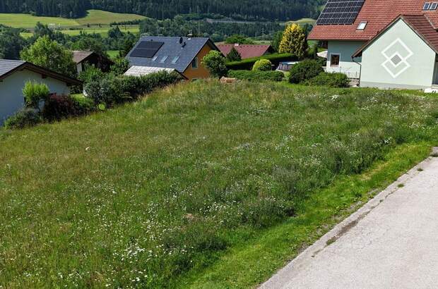 Grundstück kaufen in 8756 Sankt Georgen (Bild 4)