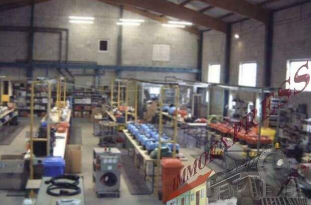 Gewerbeobjekt kaufen in 9661 Rossau (Bild 5)