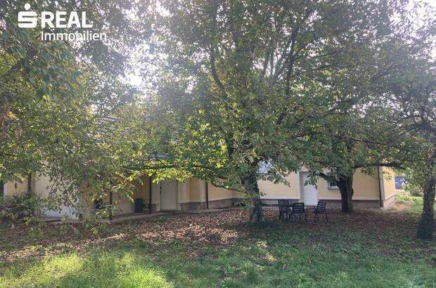 Mehrfamilienhaus kaufen in 3300 Amstetten (Bild 5)