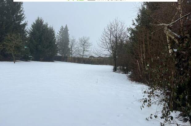 Grundstück kaufen in 4211 Spattendorf (Bild 2)