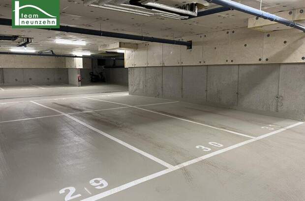 Halle / Lager / Produktion mieten in 2345 Brunn (Bild 1)