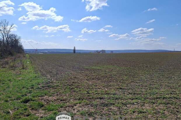 Gewerbeobjekt kaufen in 2460 Bruck an der Leitha