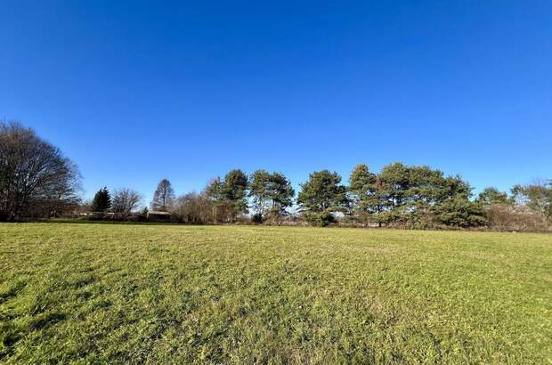 Grundstück kaufen in 7564 Dobersdorf (Bild 5)